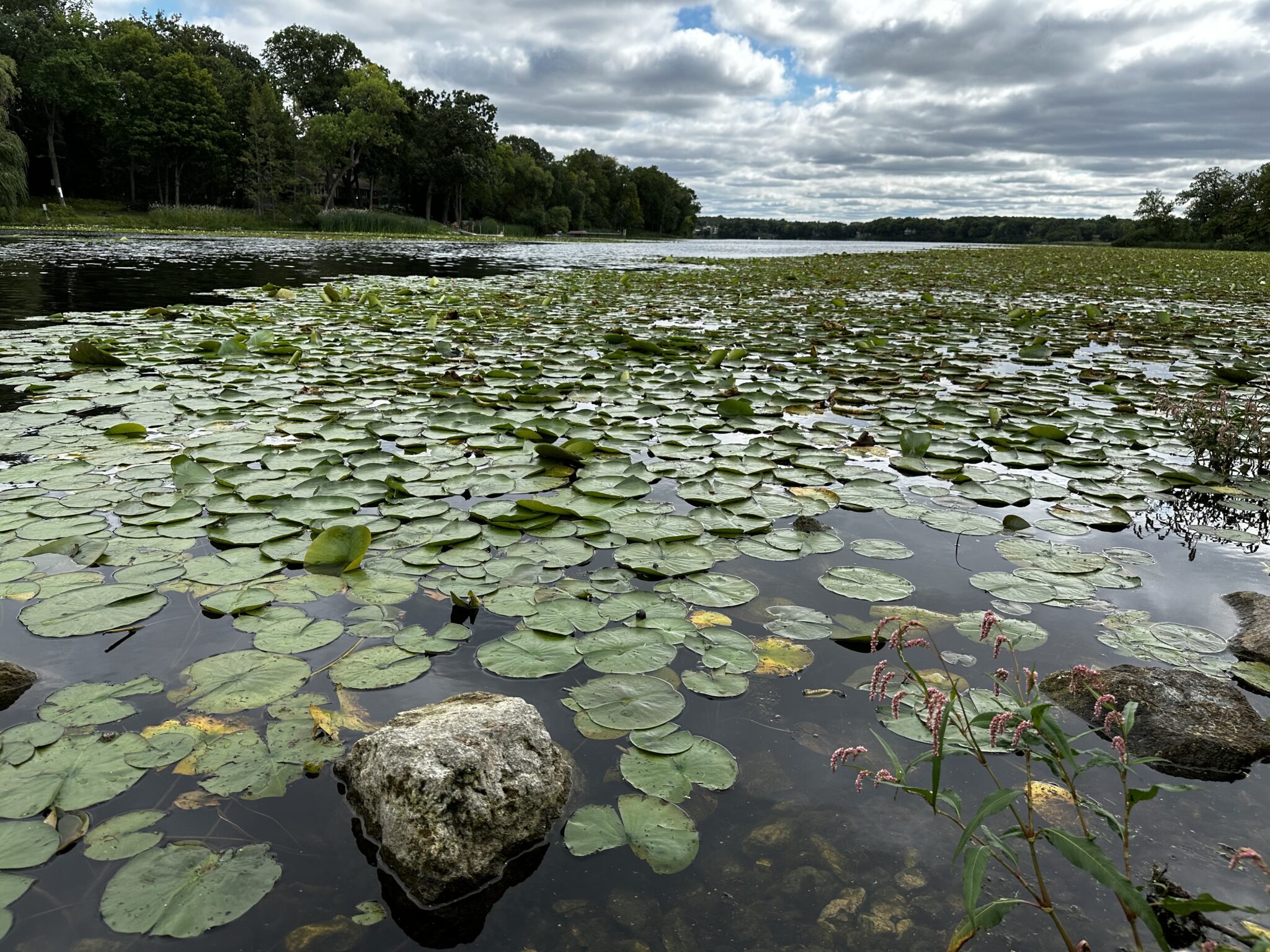 Gleason Lake Imrovement Association (GLIA)